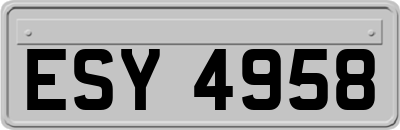 ESY4958