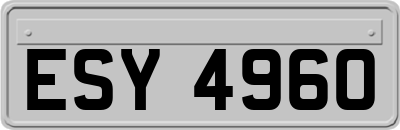ESY4960