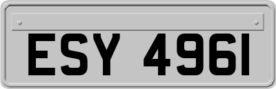ESY4961
