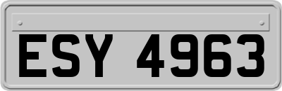 ESY4963
