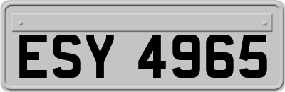 ESY4965