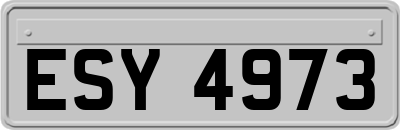 ESY4973