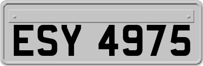 ESY4975