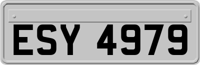 ESY4979