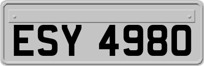ESY4980