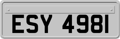 ESY4981