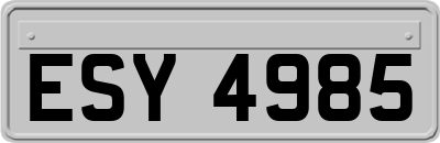 ESY4985