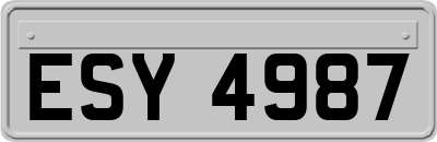 ESY4987