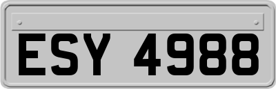 ESY4988
