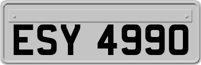 ESY4990