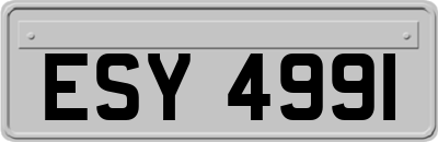 ESY4991