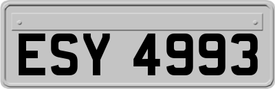 ESY4993