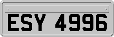 ESY4996