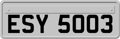 ESY5003