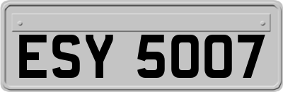 ESY5007
