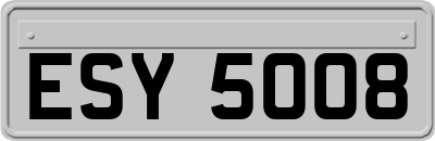ESY5008