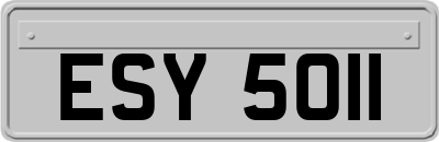 ESY5011