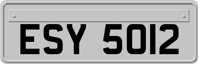 ESY5012