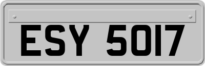 ESY5017