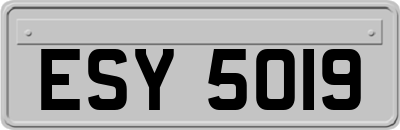 ESY5019