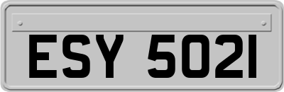 ESY5021