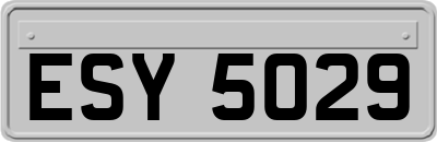 ESY5029
