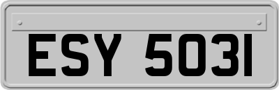 ESY5031