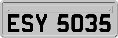ESY5035