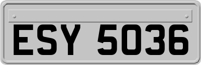 ESY5036