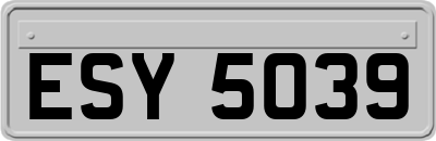 ESY5039