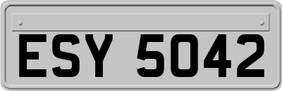 ESY5042