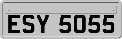 ESY5055