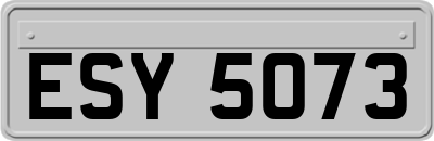 ESY5073