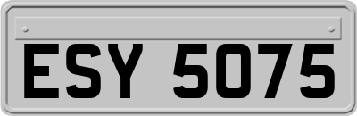 ESY5075