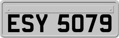 ESY5079