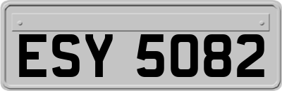 ESY5082