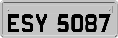 ESY5087