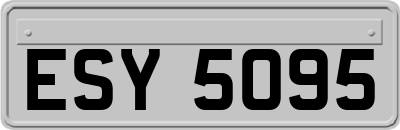 ESY5095