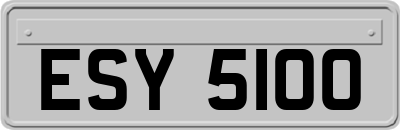 ESY5100