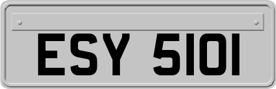 ESY5101