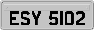 ESY5102