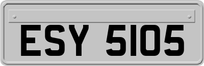 ESY5105