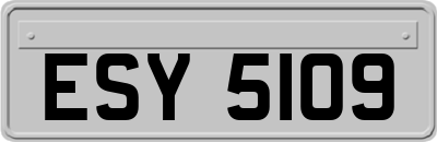 ESY5109