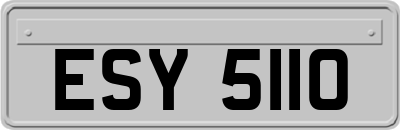 ESY5110