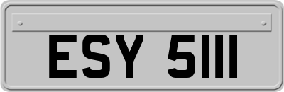 ESY5111