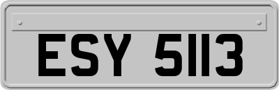 ESY5113