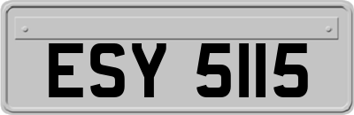 ESY5115