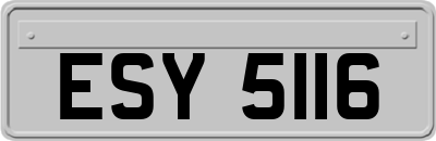 ESY5116
