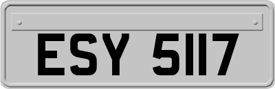 ESY5117