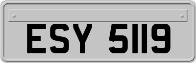 ESY5119